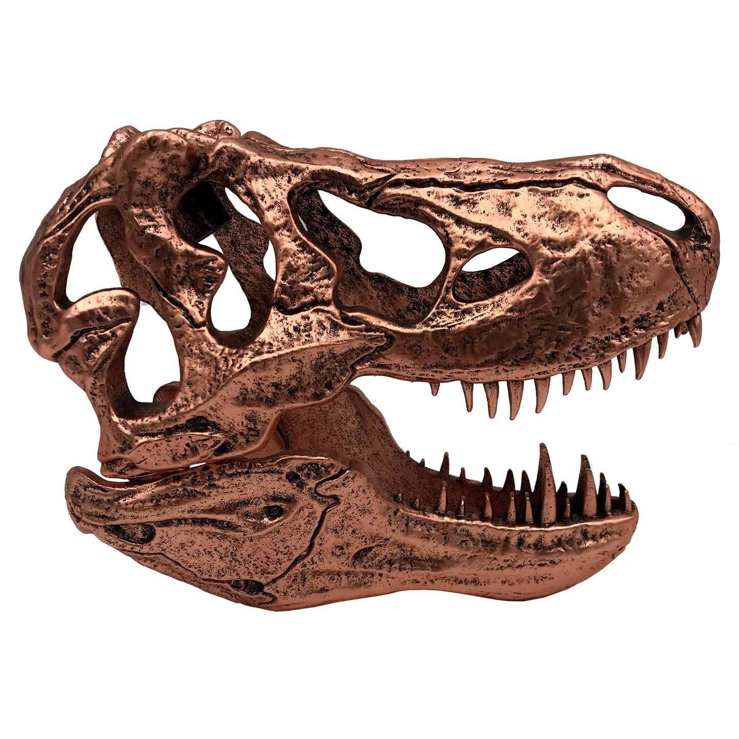 Jurassic Park | T-Rex Skull Scaled Prop Replica