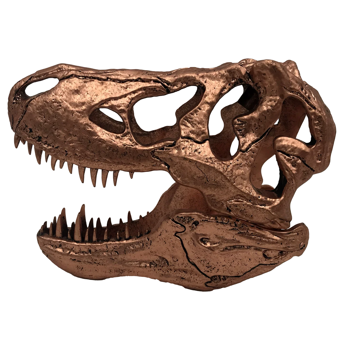 Jurassic Park | T-Rex Skull Scaled Prop Replica