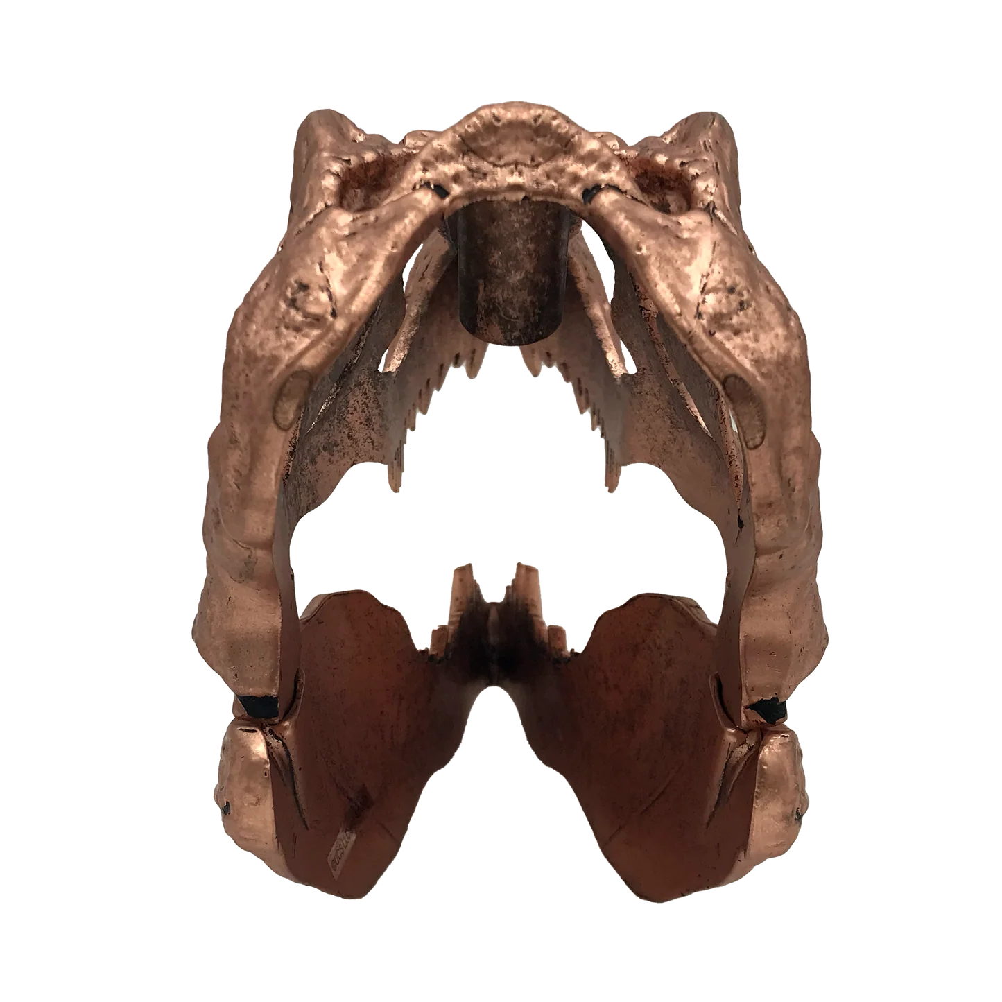 Jurassic Park | T-Rex Skull Scaled Prop Replica