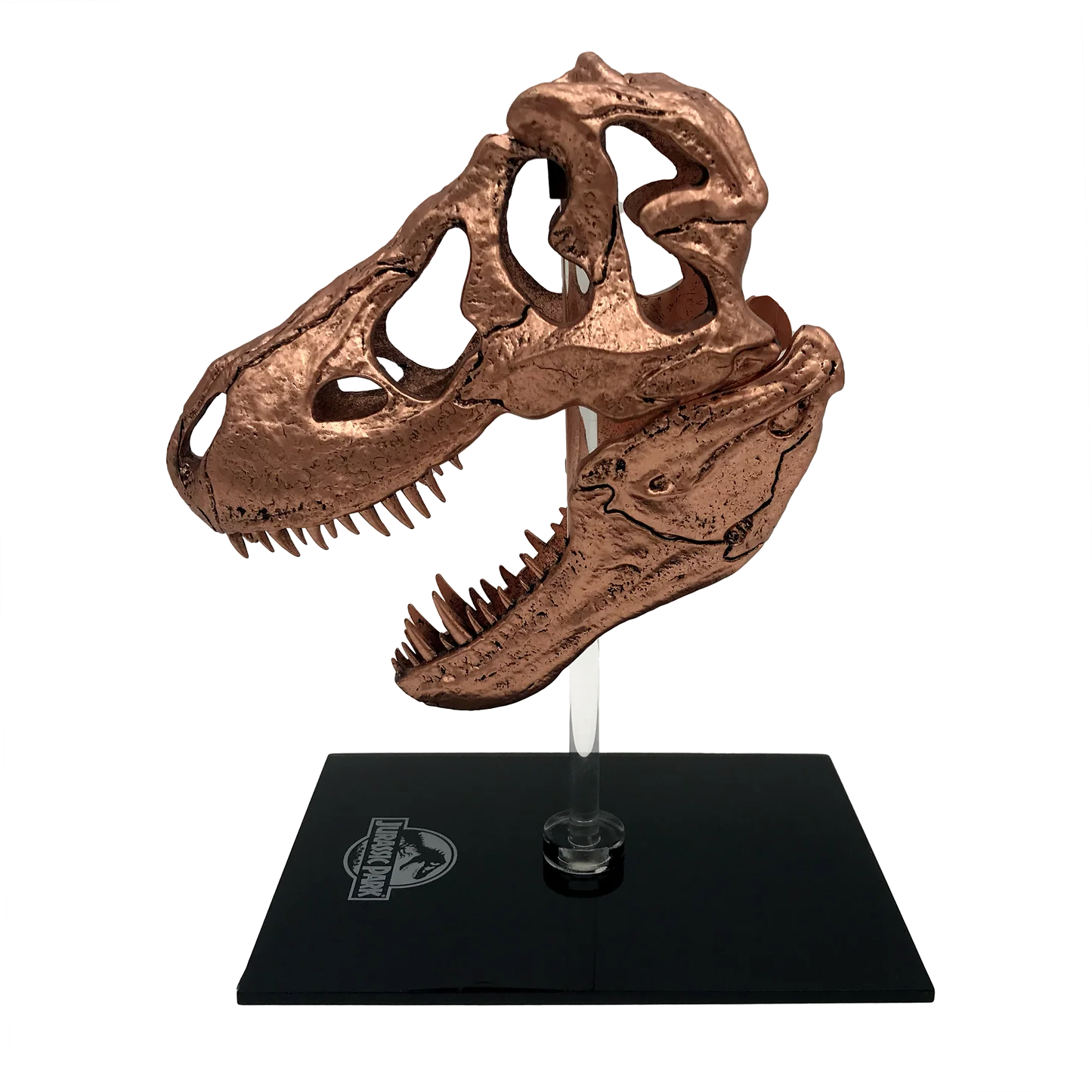 Jurassic Park | T-Rex Skull Scaled Prop Replica