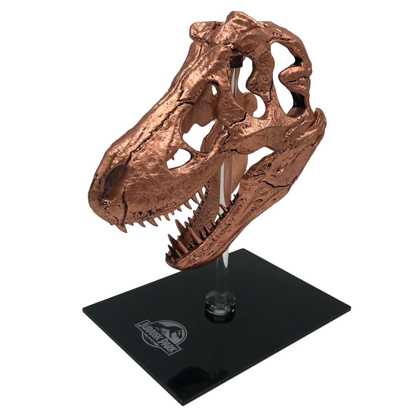 Jurassic Park | T-Rex Skull Scaled Prop Replica
