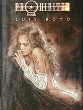 Load image into Gallery viewer, Royo-Prohibited: Book 1 (CCB)